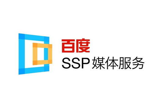 如何选择适合的百度秒收蜘蛛池